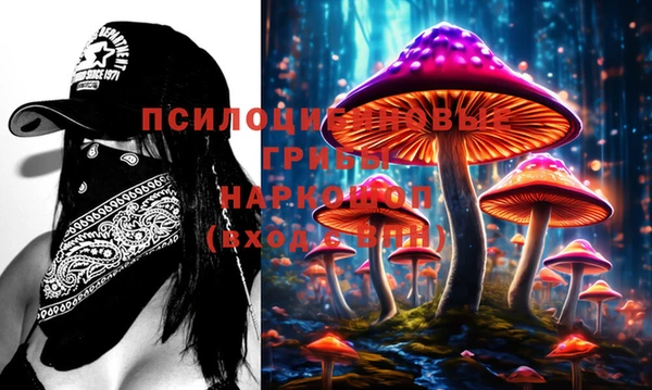 ешки Вязники