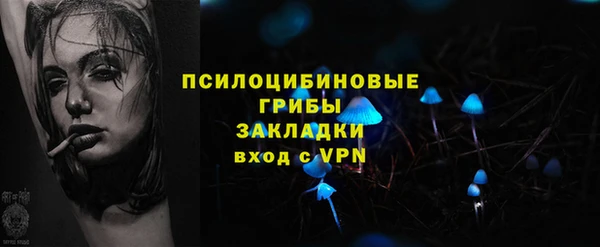 крисы Кропоткин