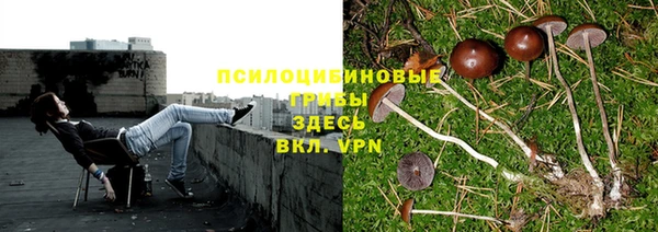 ешки Вязники